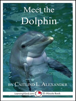 cover image of Meet the Dolphin